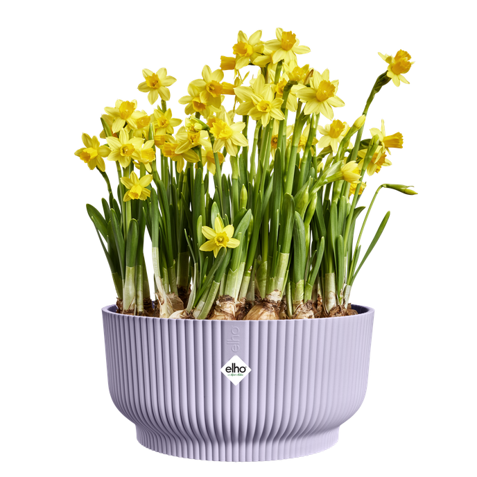 vibes fold bowl 25cm zacht lila